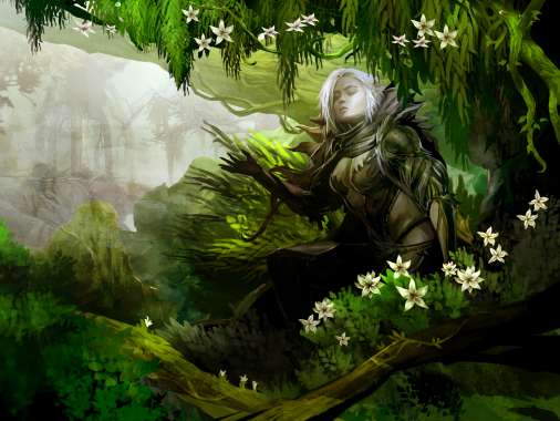 Guild Wars 2 Mvil Horizontal fondo de escritorio