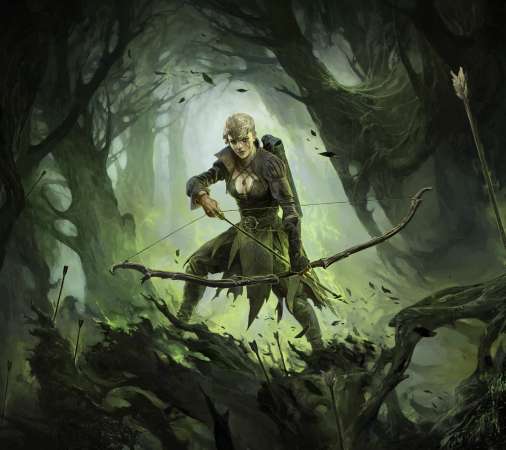 Path of Exile 2 Mvil Horizontal fondo de escritorio