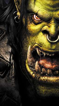 Warcraft 3: Reign of Chaos Móvil Vertical fondo de escritorio