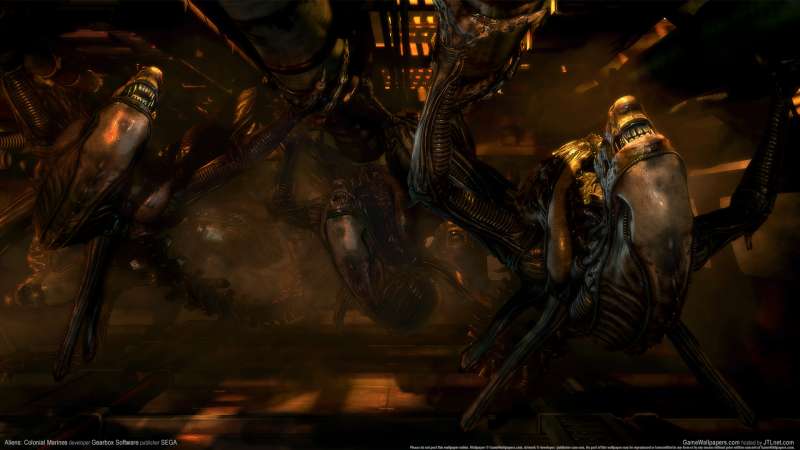 Aliens: Colonial Marines fondo de escritorio