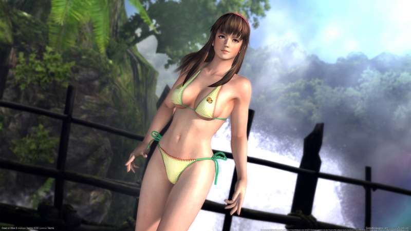 Dead or Alive 5 fondo de escritorio