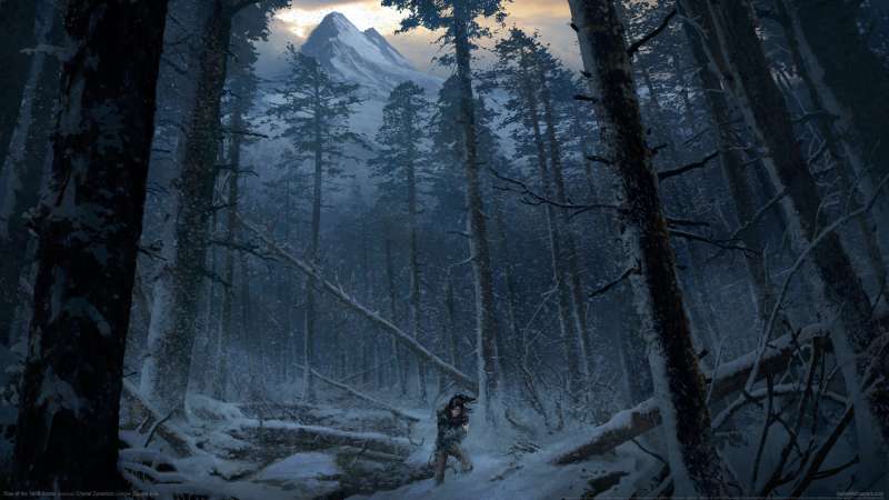 Rise of the Tomb Raider fondo de escritorio