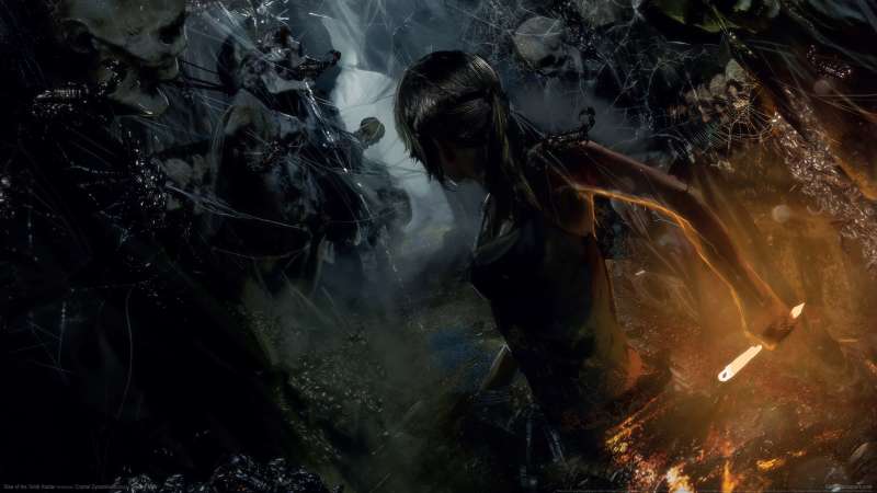 Rise of the Tomb Raider fondo de escritorio