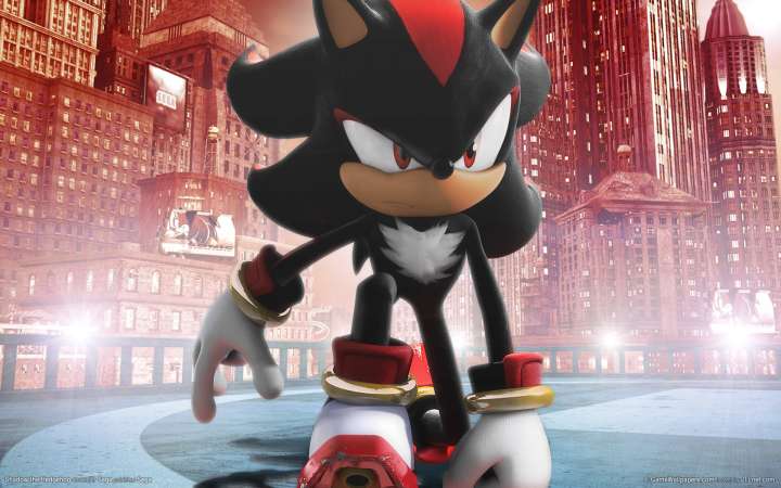 Shadow the Hedgehog fondo de escritorio