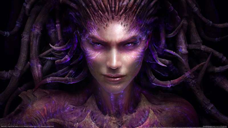 StarCraft 2: Heart of the Swarm fondo de escritorio