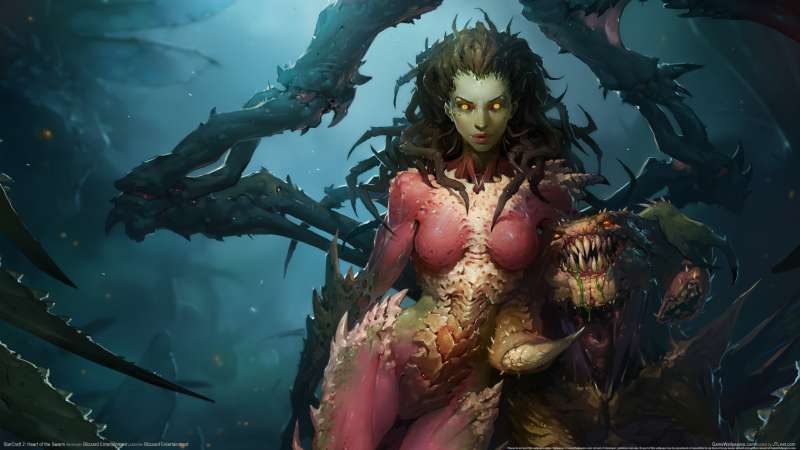 StarCraft 2: Heart of the Swarm fondo de escritorio