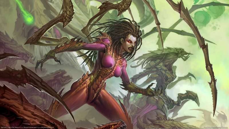 StarCraft 2: Heart of the Swarm fondo de escritorio