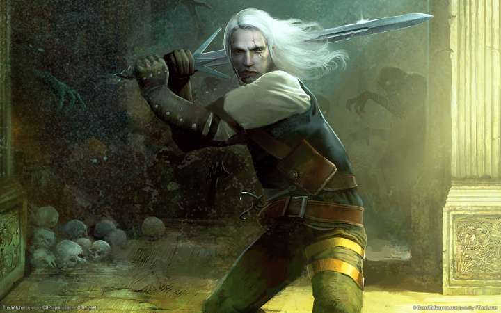 The Witcher fondo de escritorio