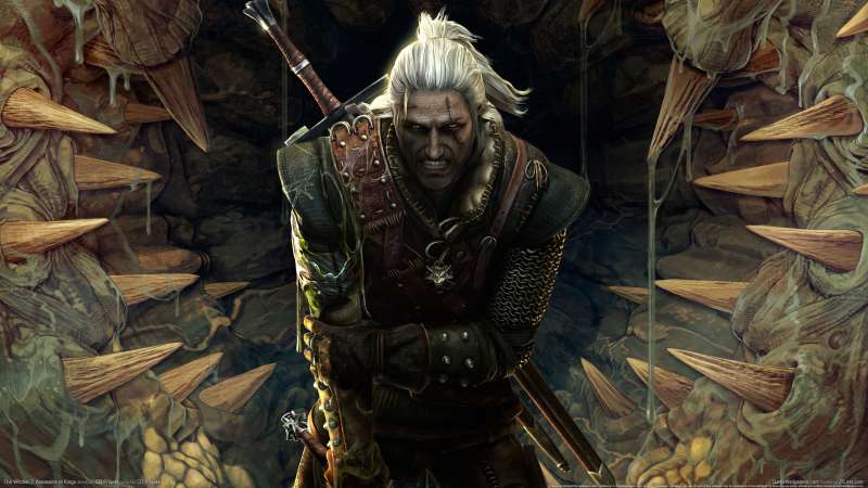 The Witcher 2: Assassins of Kings fondo de escritorio