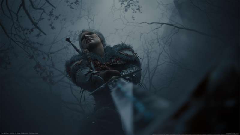 The Witcher 4 fondo de escritorio