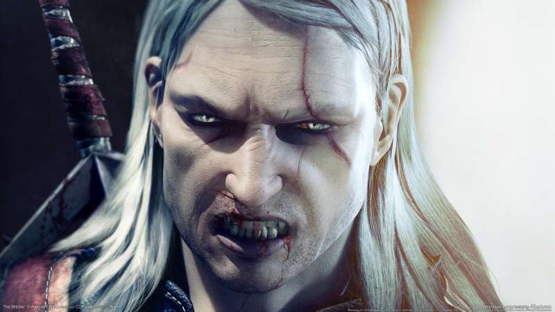 The Witcher: Enhanced Edition fondo de escritorio