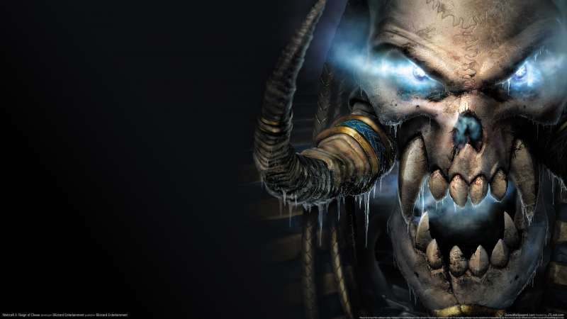 Warcraft 3: Reign of Chaos fondo de escritorio