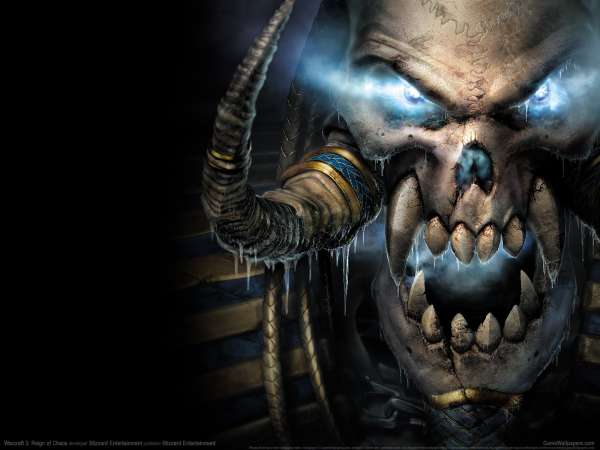 Warcraft 3: Reign of Chaos fondo de escritorio