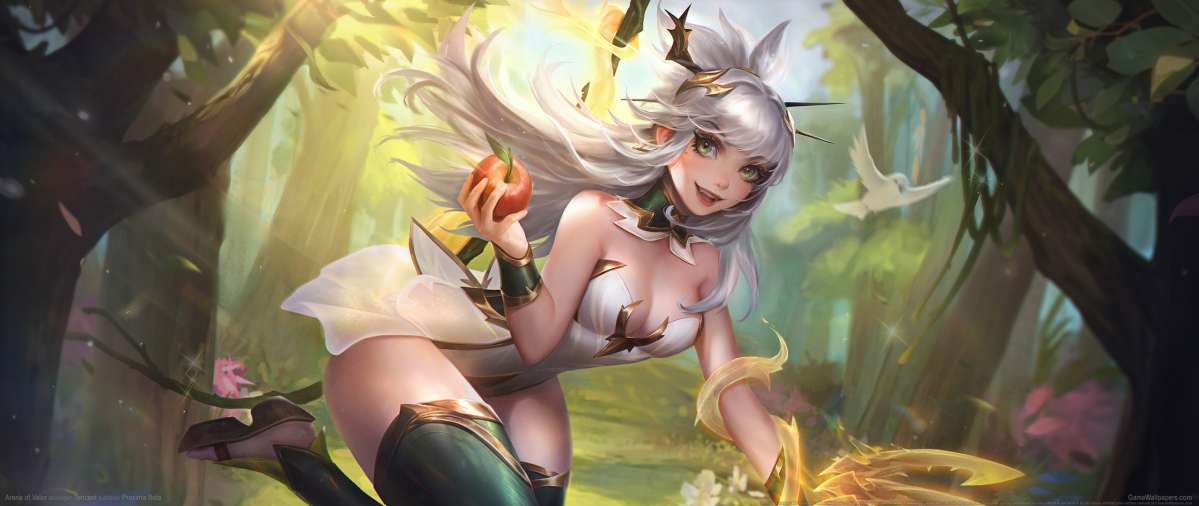 Arena of Valor fondo de escritorio