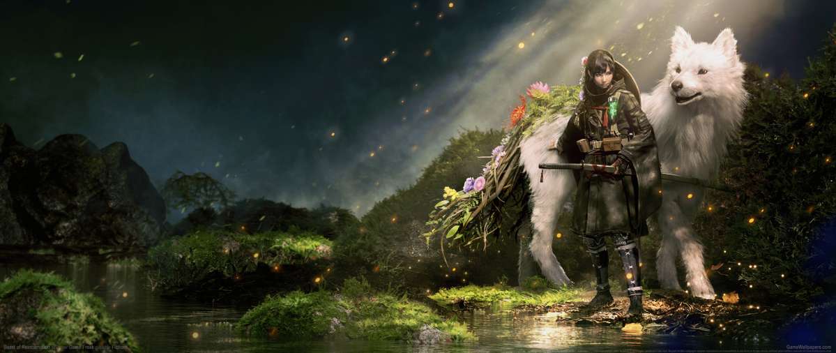 Beast of Reincarnation fondo de escritorio