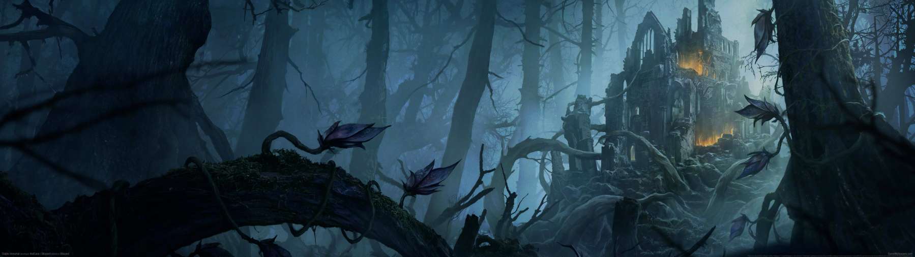 Diablo Immortal fondo de escritorio