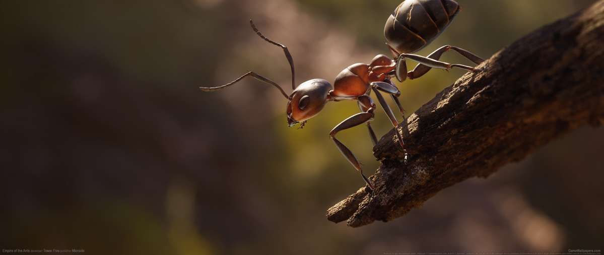 Empire of the Ants fondo de escritorio
