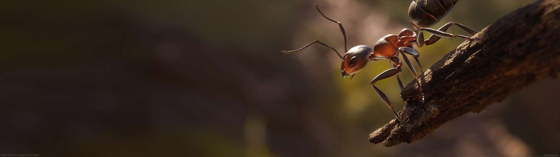 Empire of the Ants superwide fondo de escritorio 01