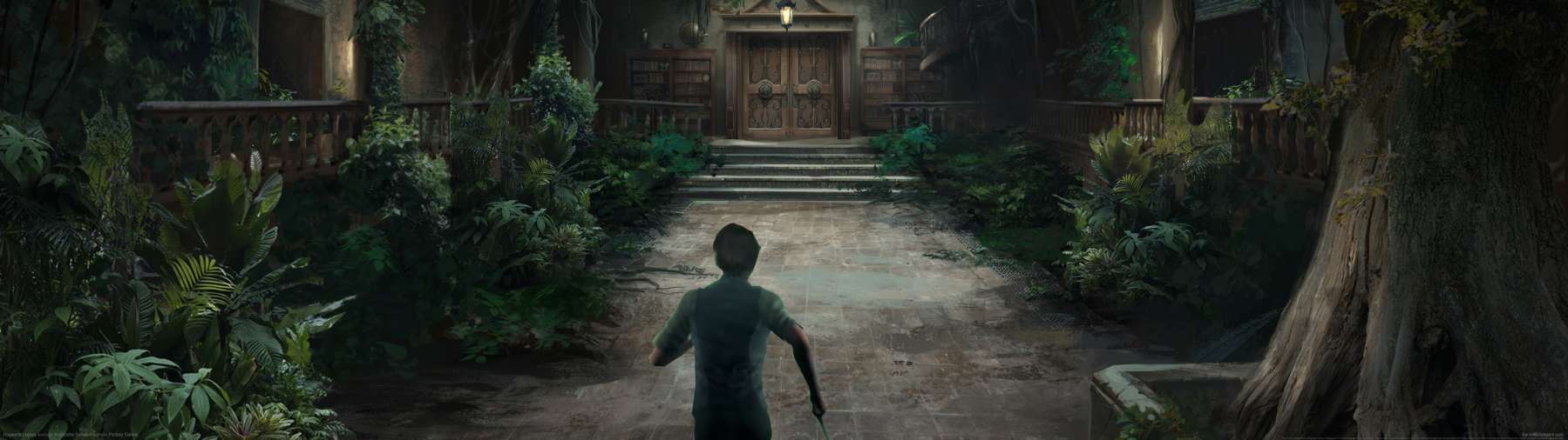Hogwarts Legacy fondo de escritorio