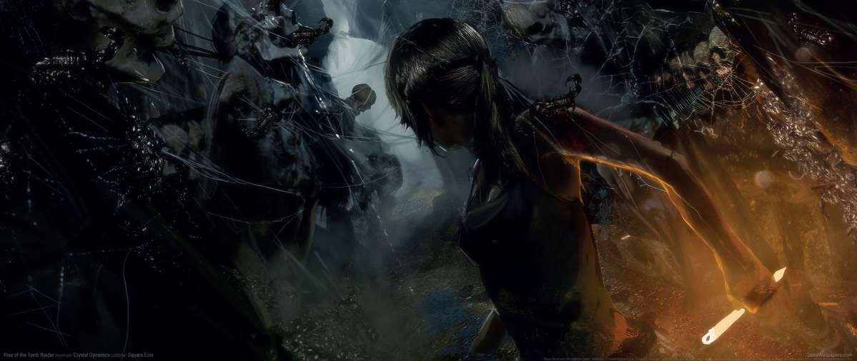 Rise of the Tomb Raider fondo de escritorio