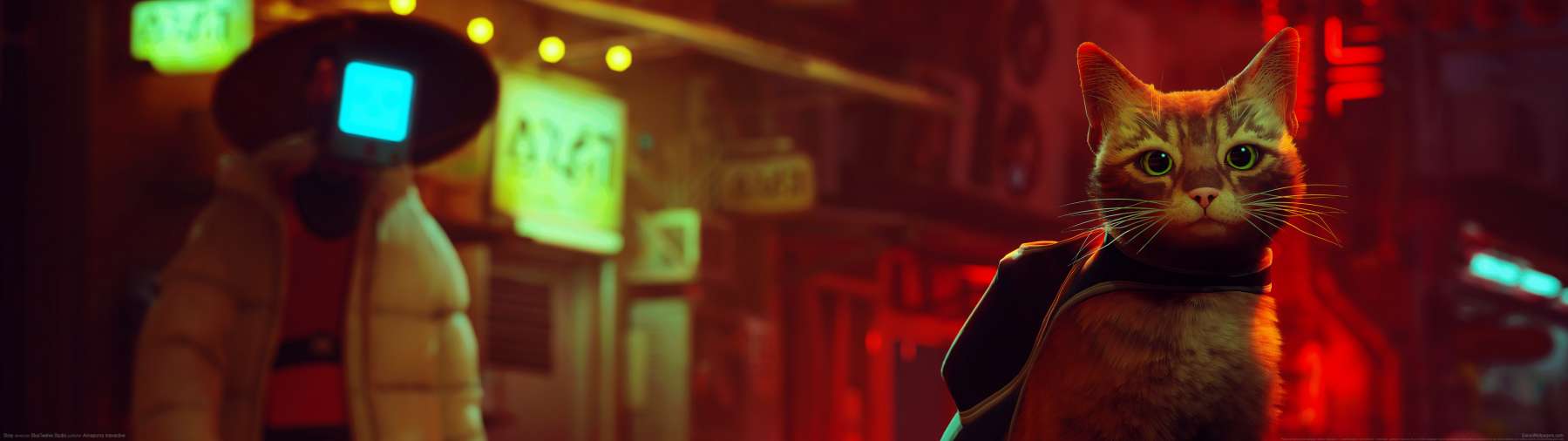 Stray fondo de escritorio