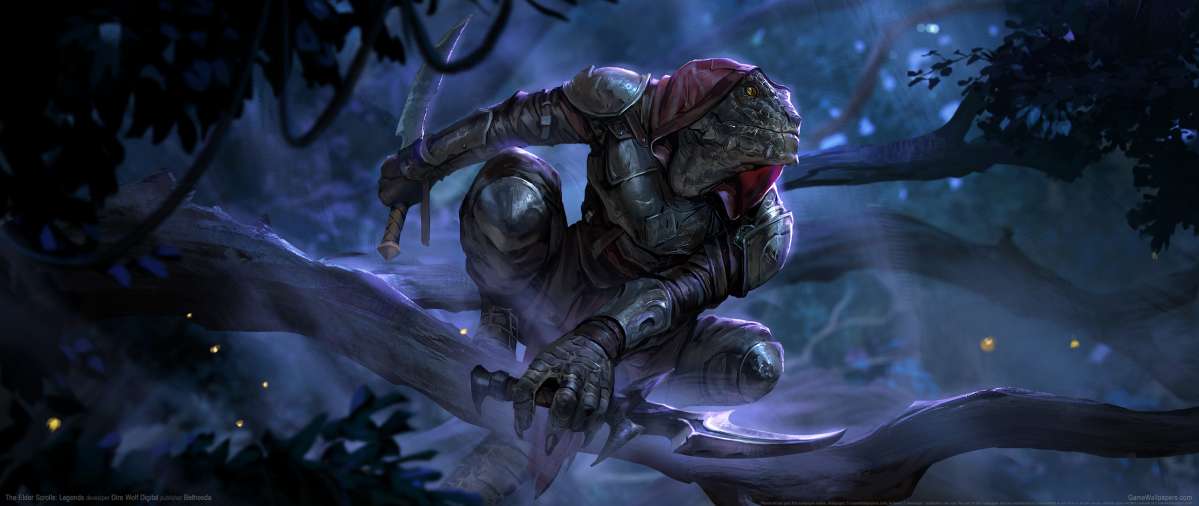 The Elder Scrolls: Legends fondo de escritorio