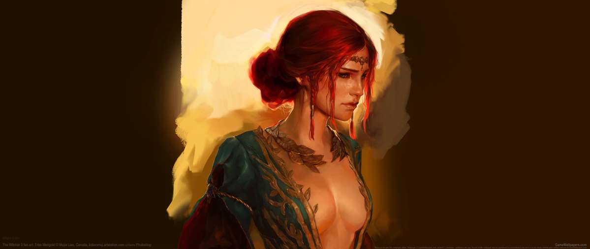 The Witcher 3 fan art ultrawide fondo de escritorio 02