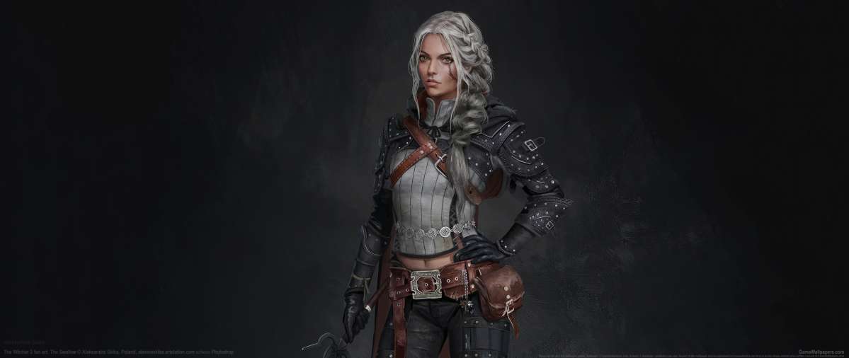 The Witcher 3 fan art fondo de escritorio