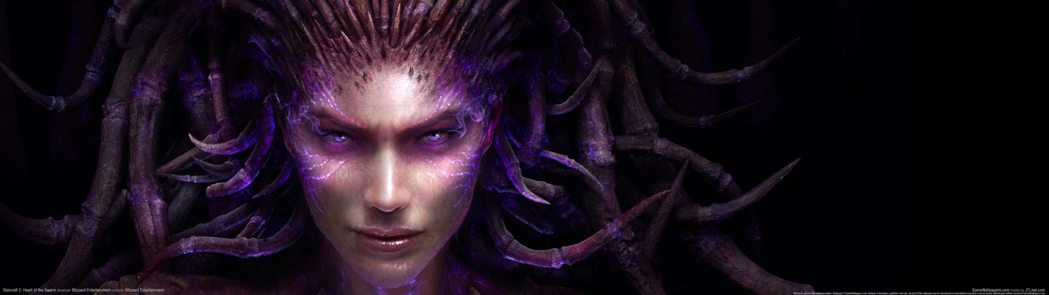 StarCraft 2: Heart of the Swarm dual screen fondo de escritorio